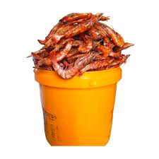 Red cray fish ( full paint)