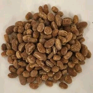 Grounded Ehuru( African Nutmeg) 250g