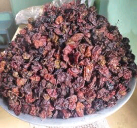 Ungrounded Cameroon pepper custard paint 600g