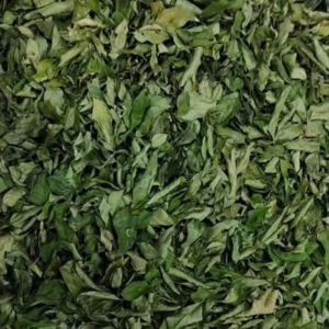 Dried Curry leaf custard paint 300g