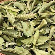 Dried Guava leaf custard paint 300g