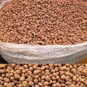 Dried tigernut custard paint 2.7kg