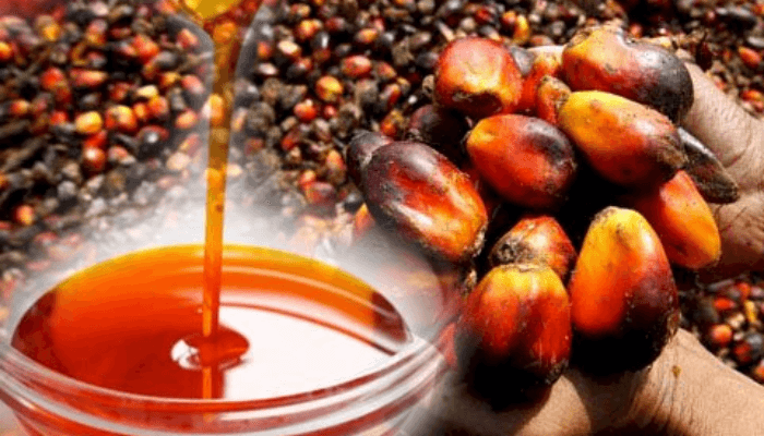 Palm Oil Export