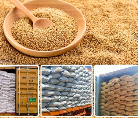 Sesame Seeds 2026