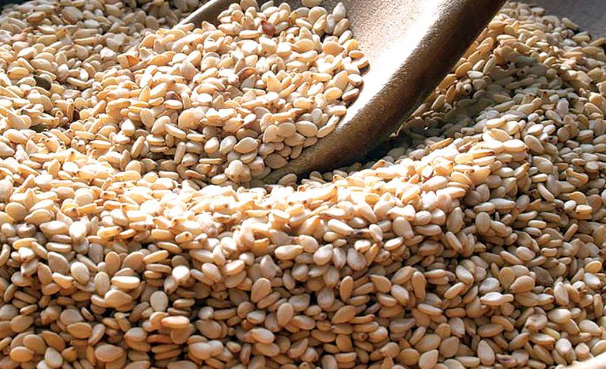 Sesame Seeds 2026